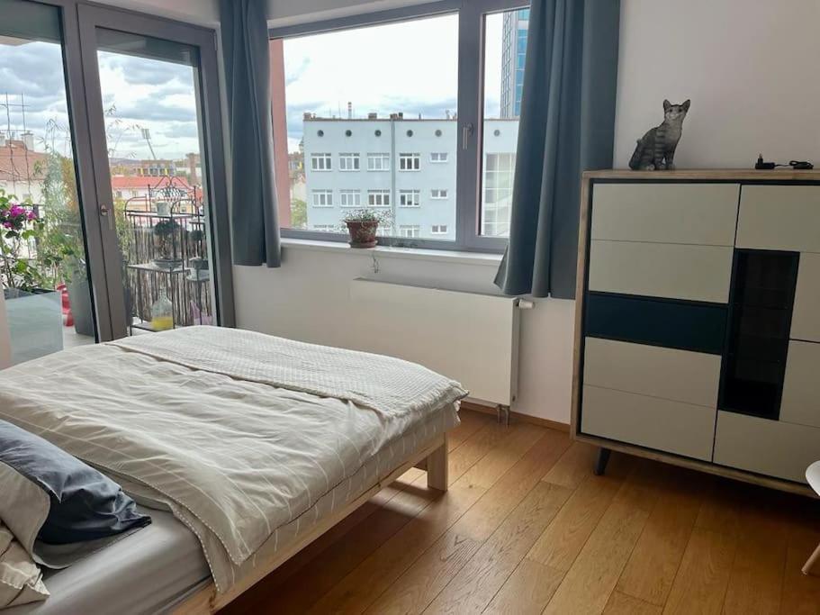 Apartment In Historical Center With Park View Pilsen Exterior foto